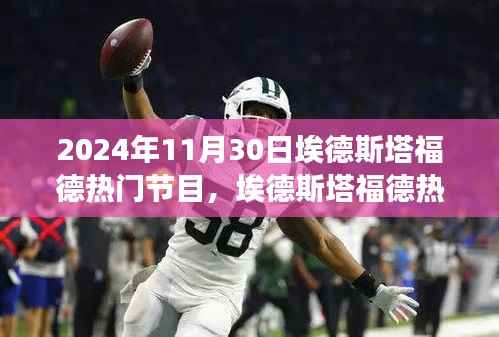 埃德斯塔福德热门节目深度解析,节目特性与用户体验评析报告(2024年11月30日)