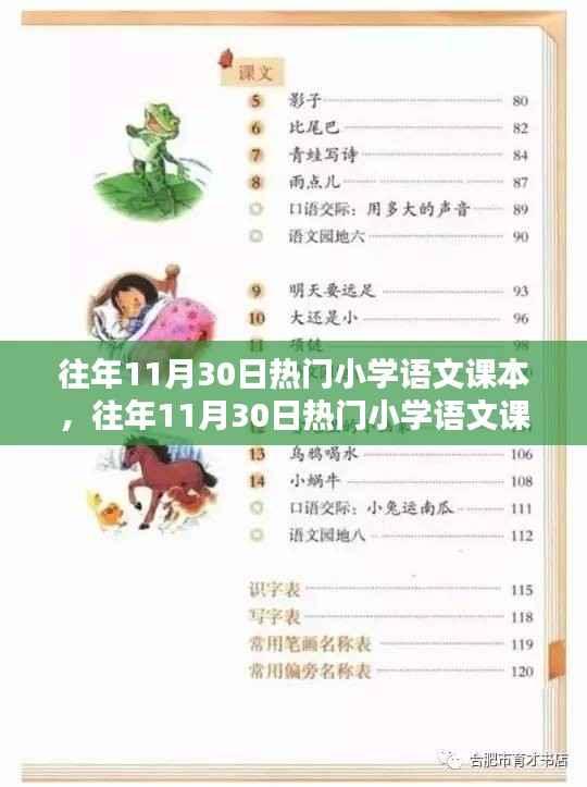往年11月30日热门小学语文课本详解与评测指南