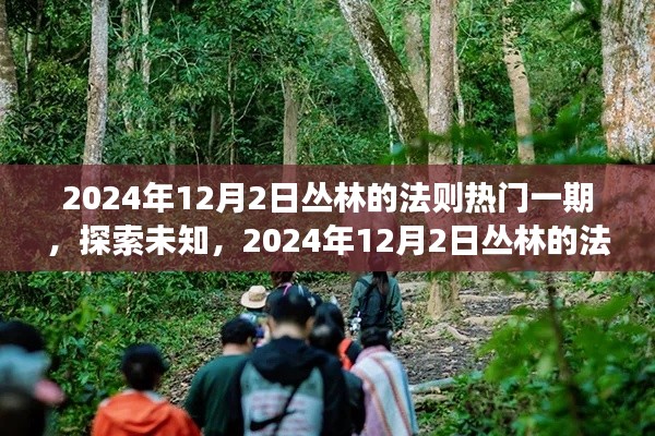 丛林的法则特别篇,探索未知的冒险之旅