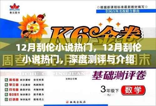 深度测评与介绍，12月热门刮伦小说风潮来袭
