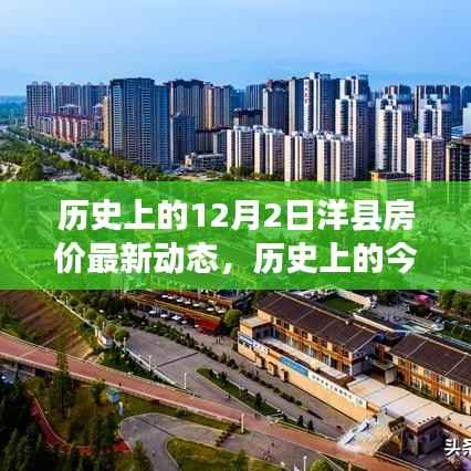 公司概况 第456页