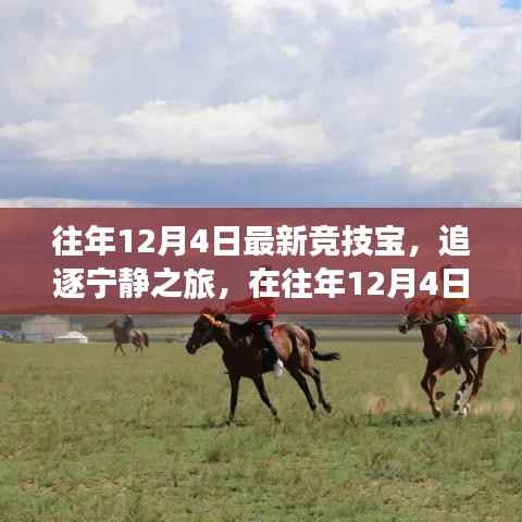 往年12月4日最新竞技宝,追逐宁静之旅,探寻内心的山水乐园