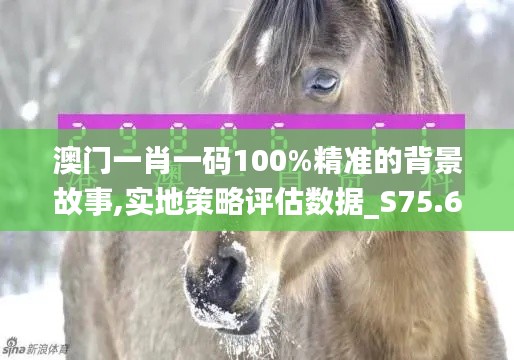 澳门一肖一码100%精准的背景故事,实地策略评估数据_S75.654