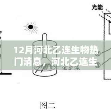 河北乙连生物深度评测与最新热门消息揭秘