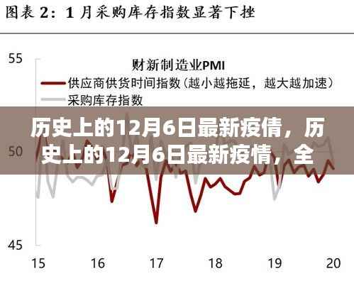 历史上的12月6日疫情全面评测与介绍，最新疫情动态概览