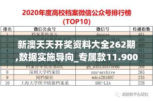 新澳天天开奖资料大全262期,数据实施导向_专属款11.900