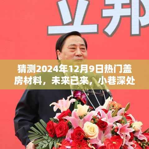 揭秘未来盖房新趋势,2024年热门盖房材料预测与小巷特色建材店探访