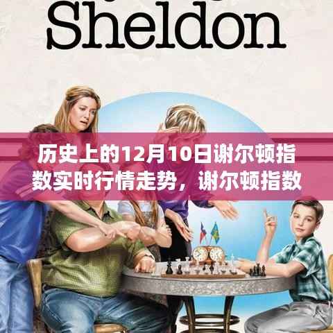 历史上的谢尔顿指数走势回顾,温情时光下的友情与陪伴故事