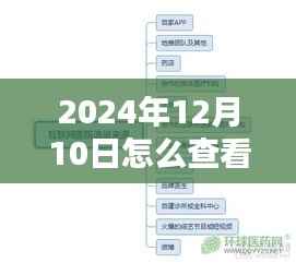 如何轻松掌握技巧,在2024年12月10日查看景区实时流量