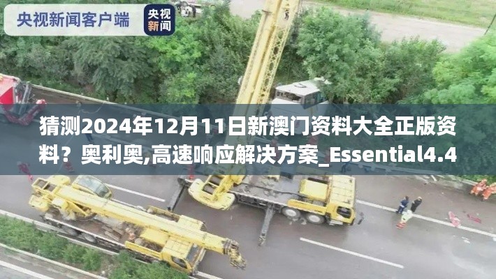 猜测2024年12月11日新澳门资料大全正版资料？奥利奥,高速响应解决方案_Essential4.449