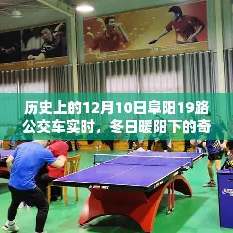 冬日暖阳下的阜阳公交奇遇,揭秘历史上的阜阳公交19路秘密回忆与实时动态