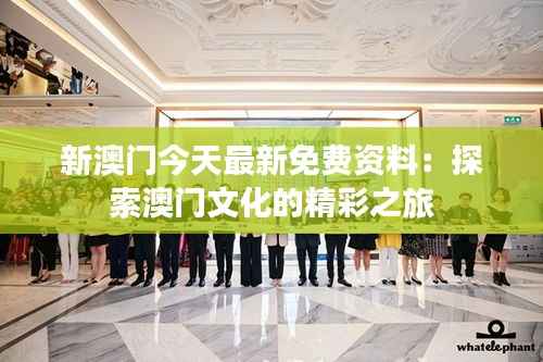 新澳门今天最新免费资料：探索澳门文化的精彩之旅