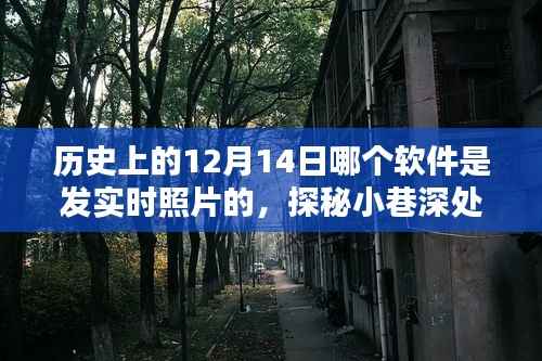 探秘历史上的十二月十四日，揭秘实时照片软件背后的传奇时光照相馆与小巷深处的时光印记