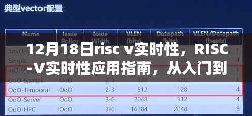 RISC-V实时性应用指南，从入门到进阶的详细步骤解析