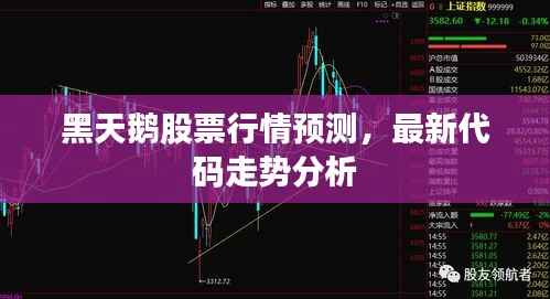 黑天鹅股票行情预测,最新代码走势分析