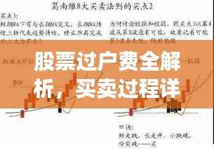 股票过户费全解析,买卖过程详解
