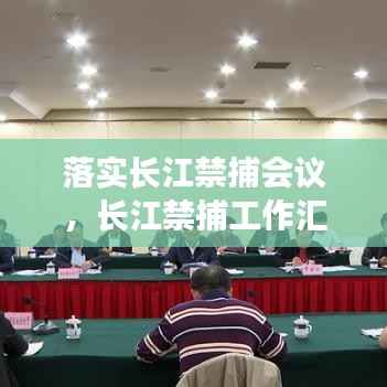 落实长江禁捕会议，长江禁捕工作汇报 