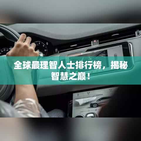 全球最理智人士排行榜,揭秘智慧之巅!