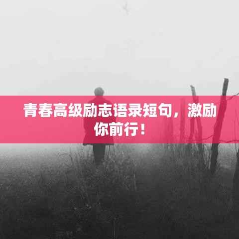 青春高级励志语录短句,激励你前行!