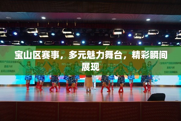 宝山区赛事,多元魅力舞台,精彩瞬间展现