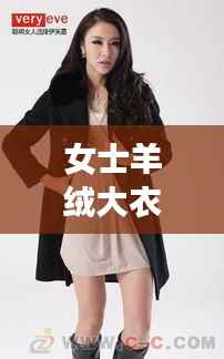 女士羊绒大衣的魅力与价格解析