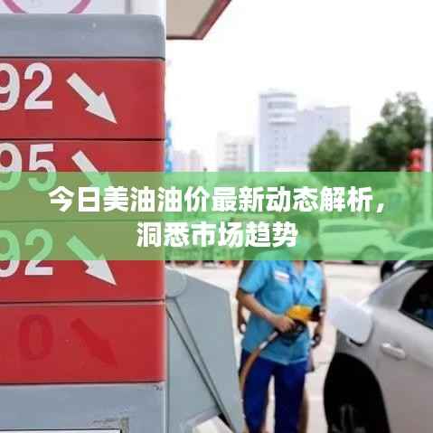 今日美油油价最新动态解析，洞悉市场趋势