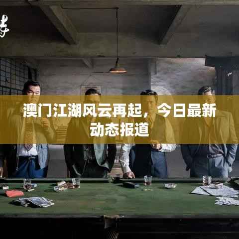 澳门江湖风云再起,今日最新动态报道