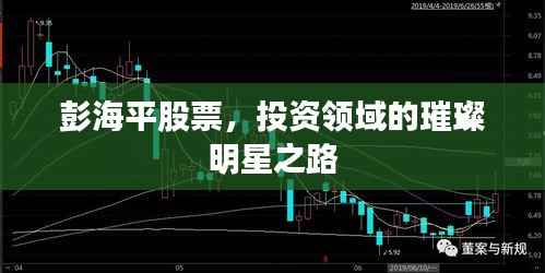 彭海平股票,投资领域的璀璨明星之路
