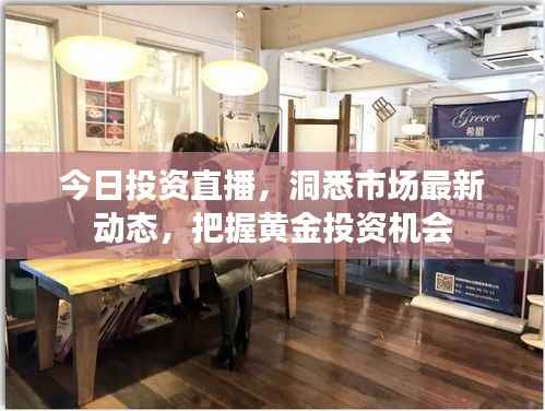 今日投资直播,洞悉市场最新动态,把握黄金投资机会