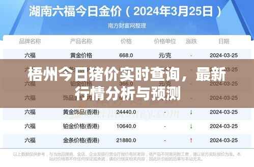 梧州今日猪价实时查询,最新行情分析与预测