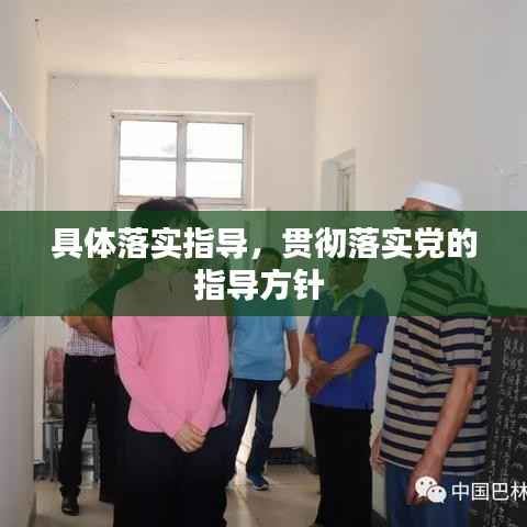 具体落实指导，贯彻落实党的指导方针 