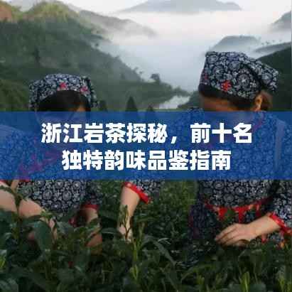 浙江岩茶探秘，前十名独特韵味品鉴指南