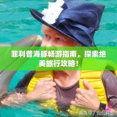 菲利普海豚畅游指南，探索绝美旅行攻略！