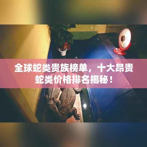 全球蛇类贵族榜单,十大昂贵蛇类价格排名揭秘!